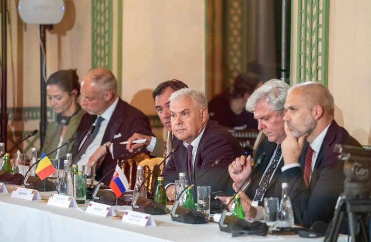 Întâlnire a conducerii MApN cu membrii comisiilor pentru apărare, ordine publică și siguranță națională din Senat și din Camera Deputaților